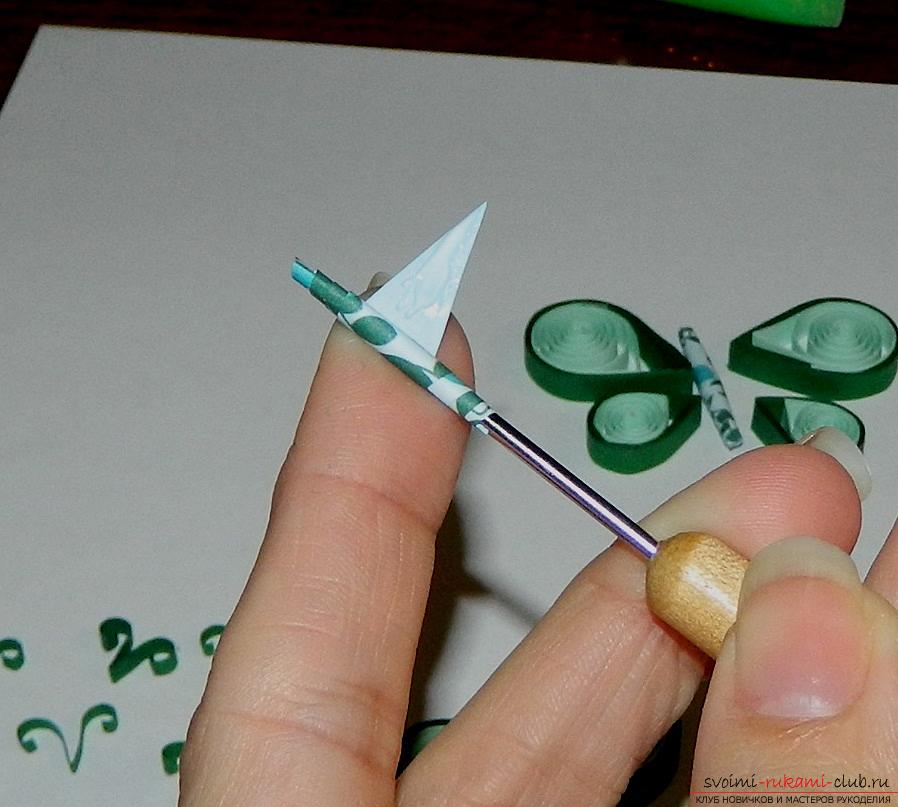 Мастер-класс простой открытки в технике квиллинг, делаем бабочку из бумаги своими руками.. Фото №13